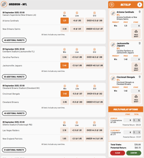 DashBet odds and betslip screenshot