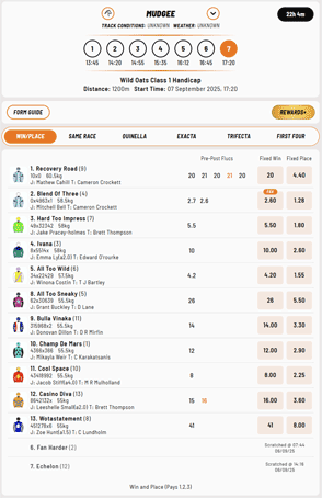 DashBet racing screenshot