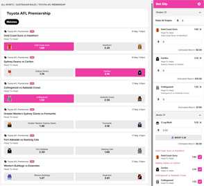 next2go odds and betslip screenshot
