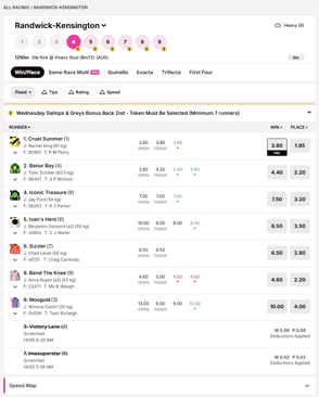 next2go racing screenshot